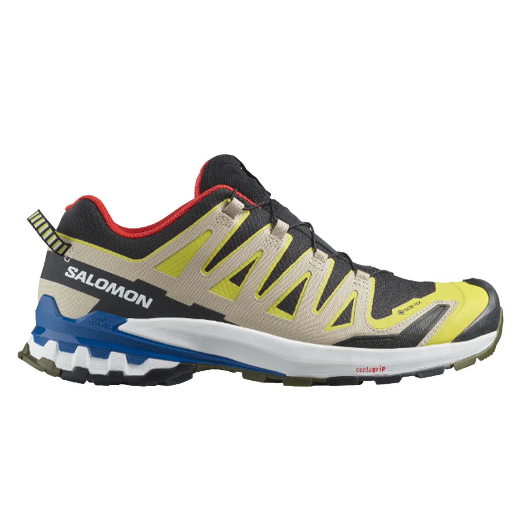 Salomon Men's XA Pro 3D V9 Gore-Tex Trail Running Shoes 