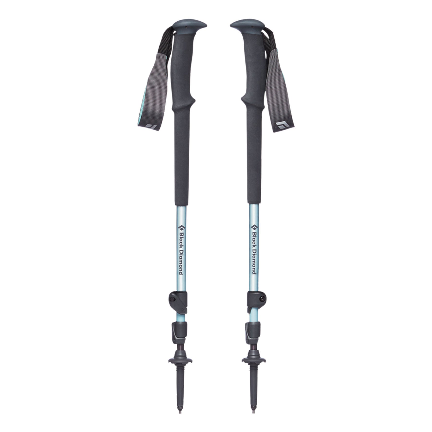 Walking/Hiking Stick discount - 53”