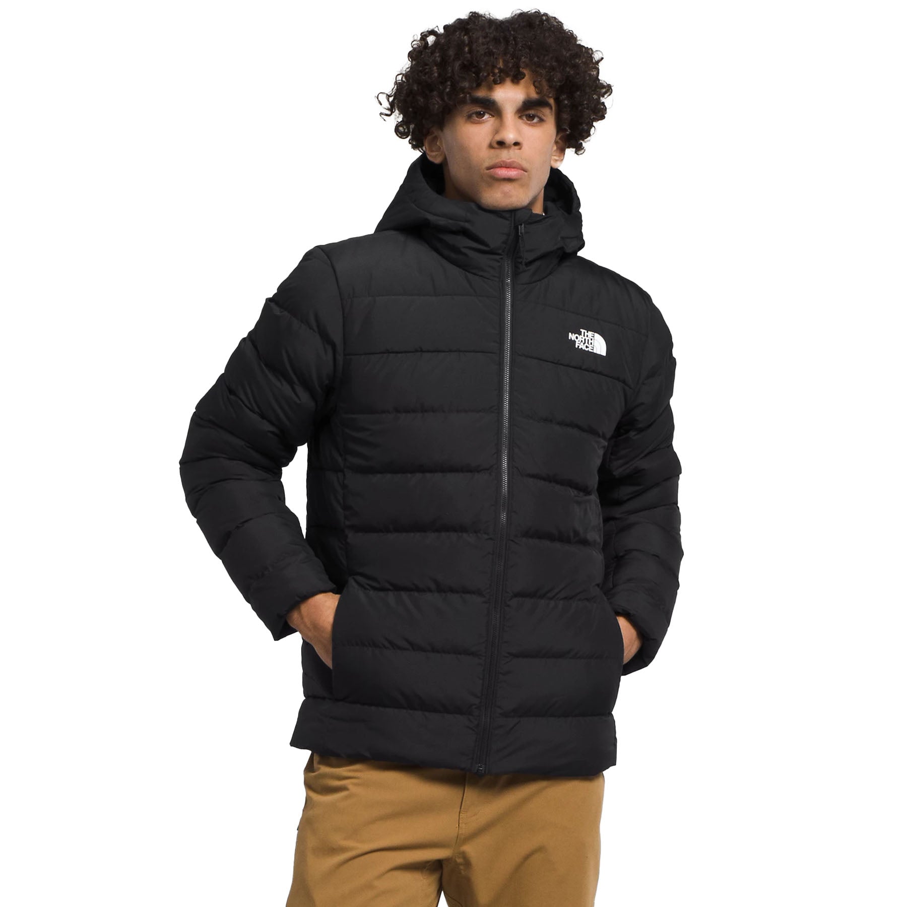 Mens north clearance face hooded jacket