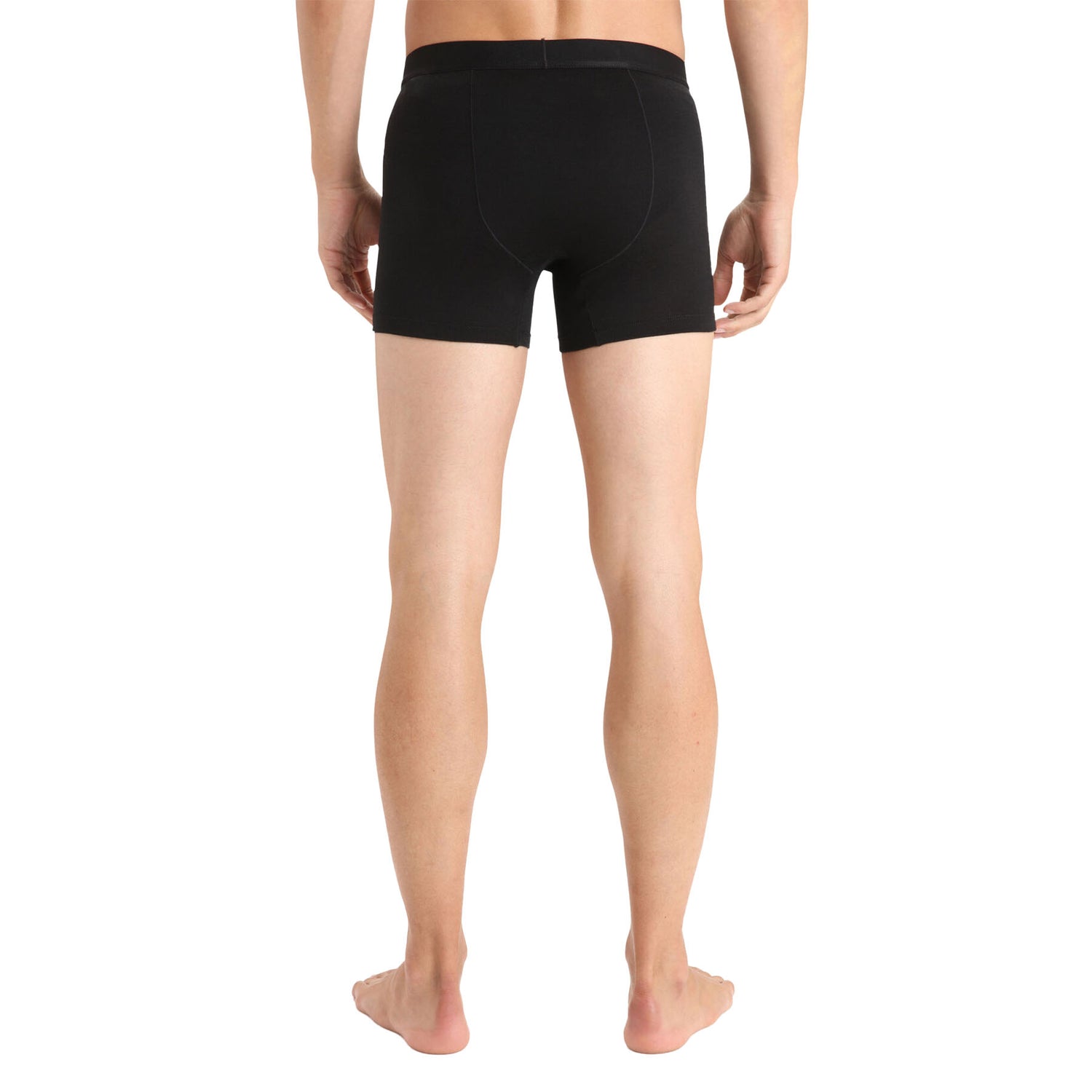 Icebreaker Men's Anatomica Cool-Lite Boxers 