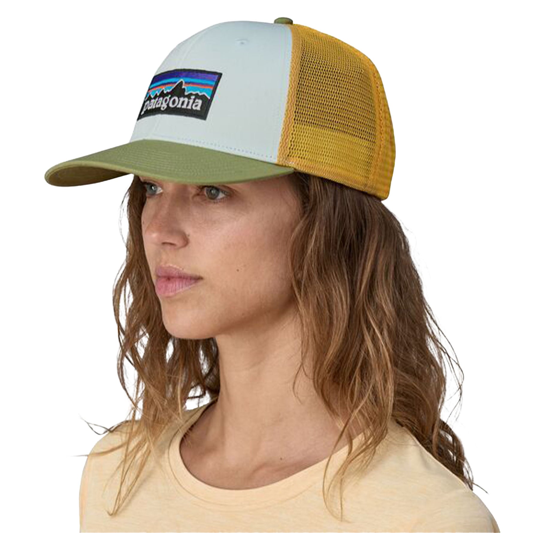 Patagonia P-6 Logo Trucker Hat 