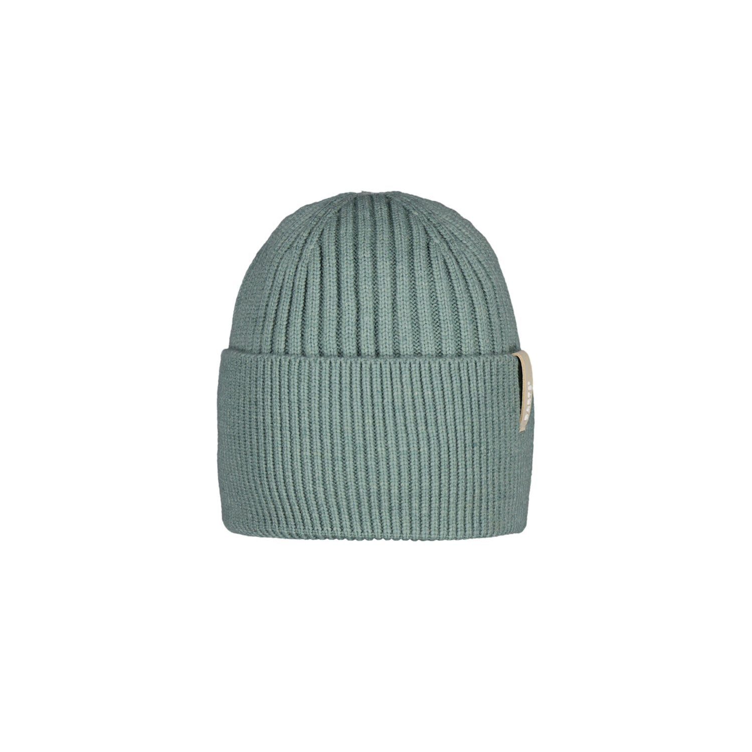 Arlinkton Beanie