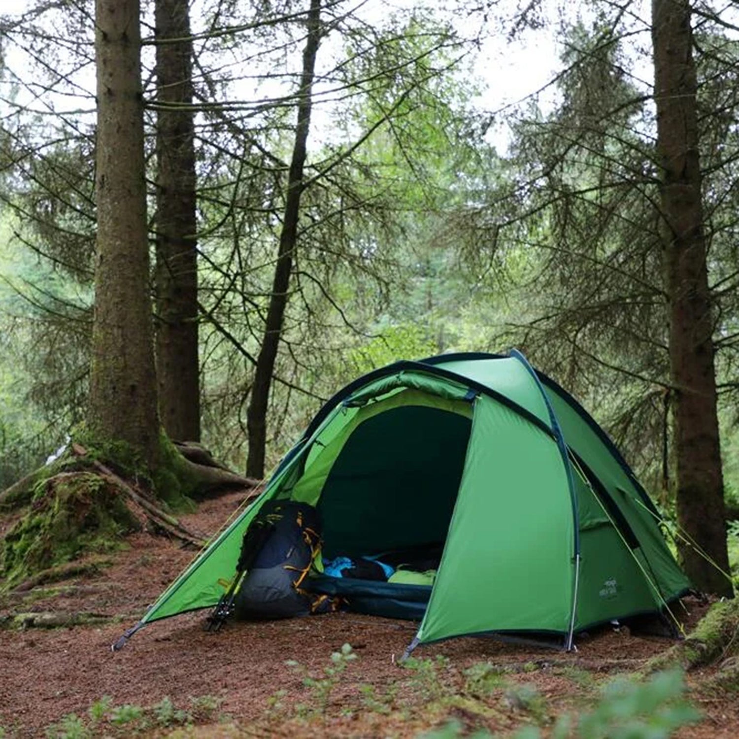 Vango Apex Geo 300 