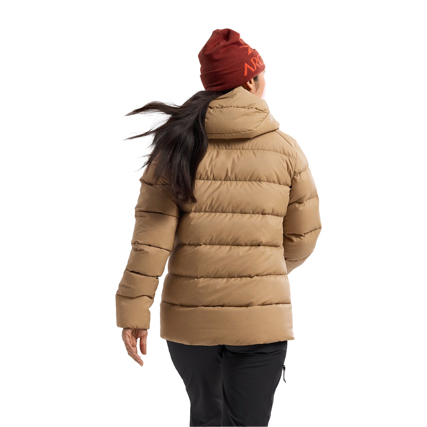 Women's Thorium Hooded Jacket