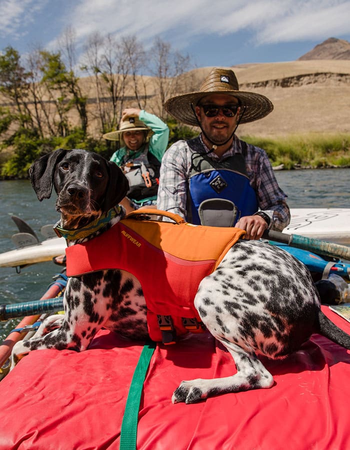 Ruffwear Float Coat Dog Life Jacket 53 Degrees North