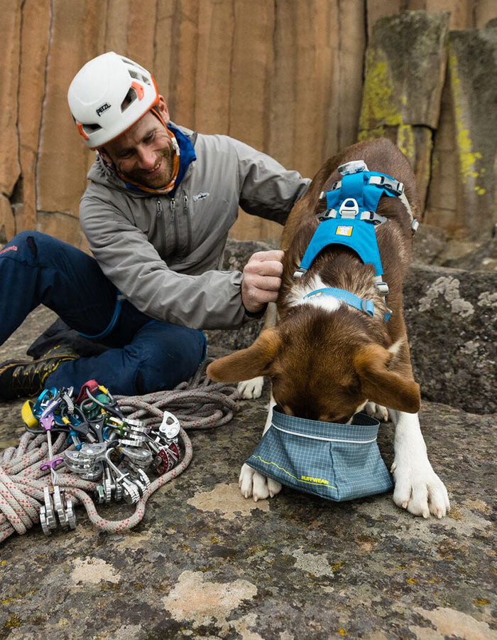 Ruffwear Hi Light Lightweight Dog Collar 53 Degrees North