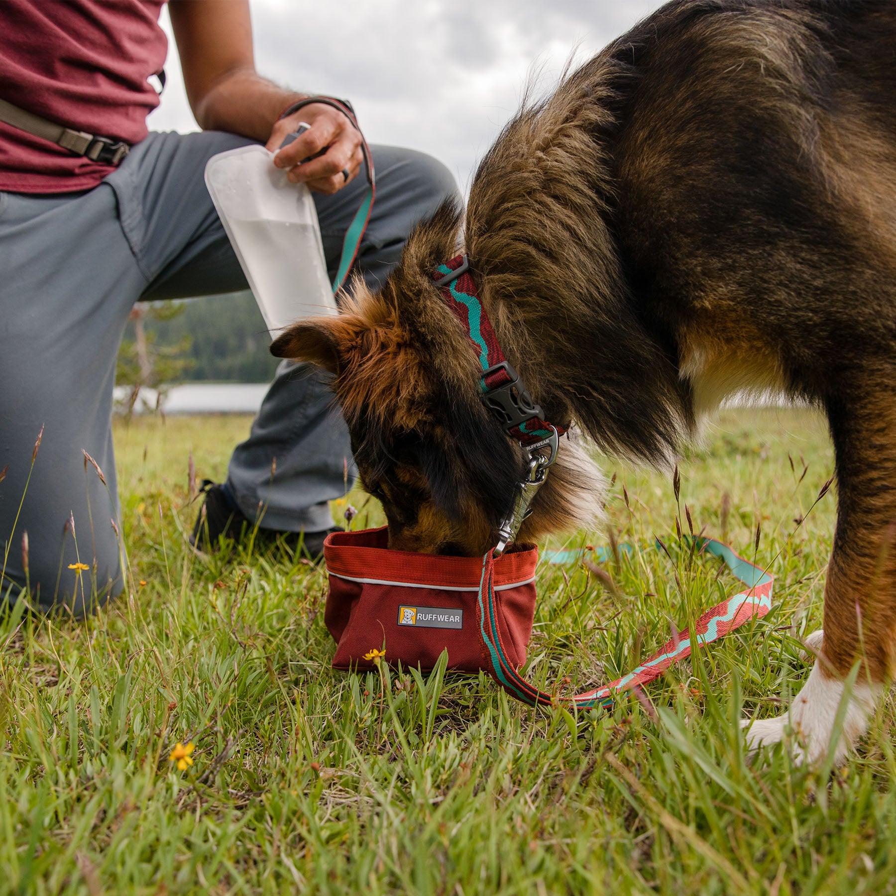 Ruffwear deals dog bowl