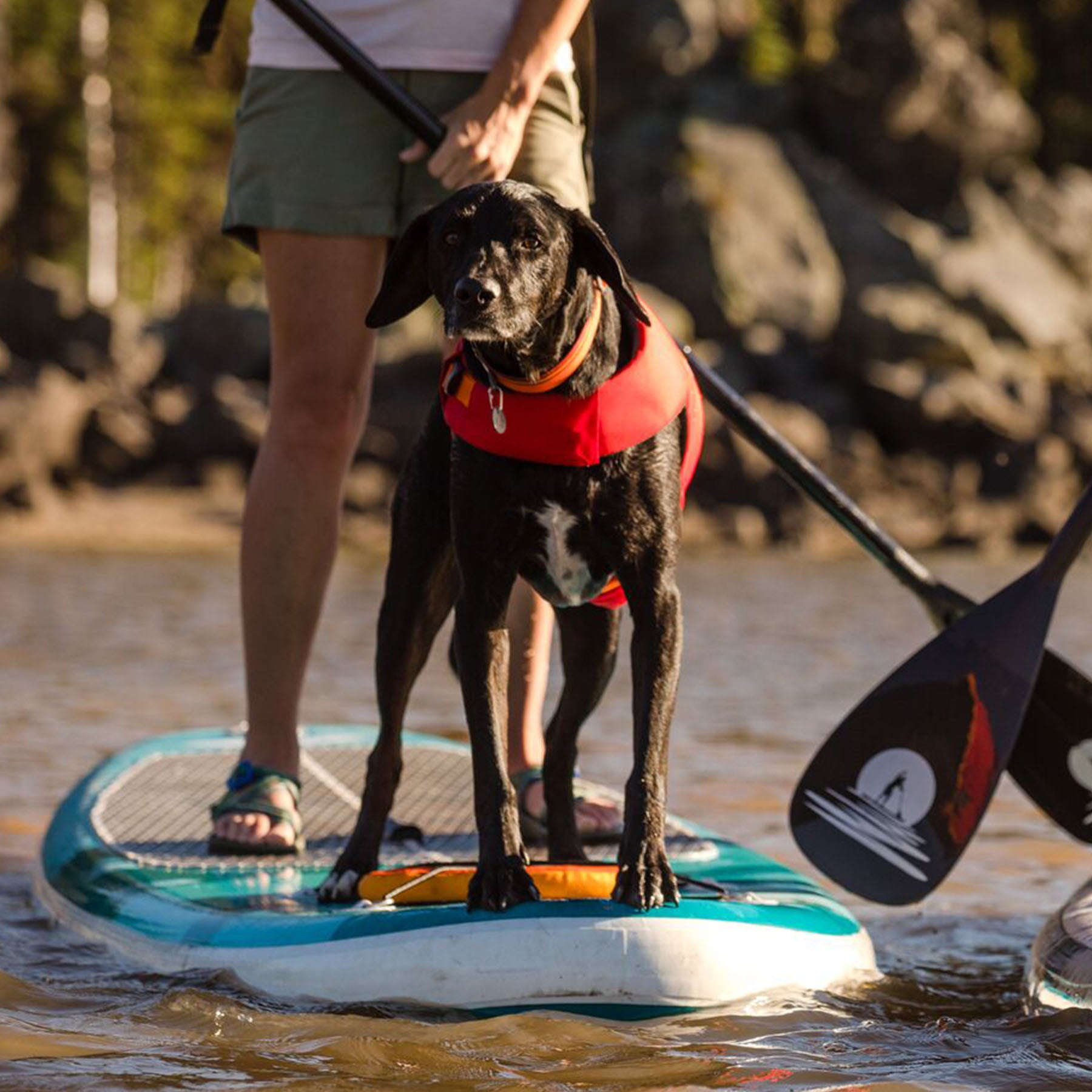 Float coat outlet dog