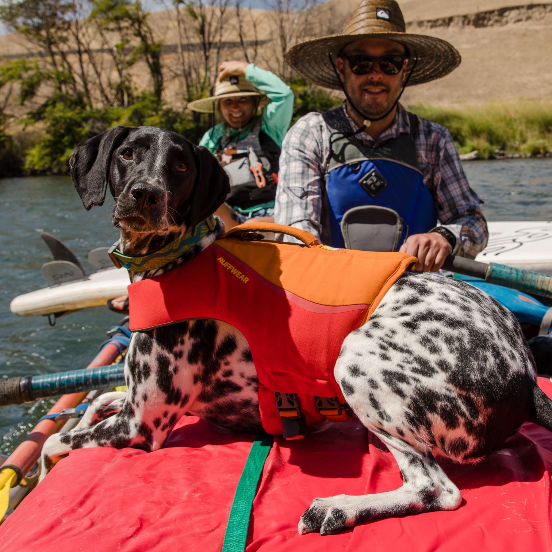 Ruffwear dog best sale life vest