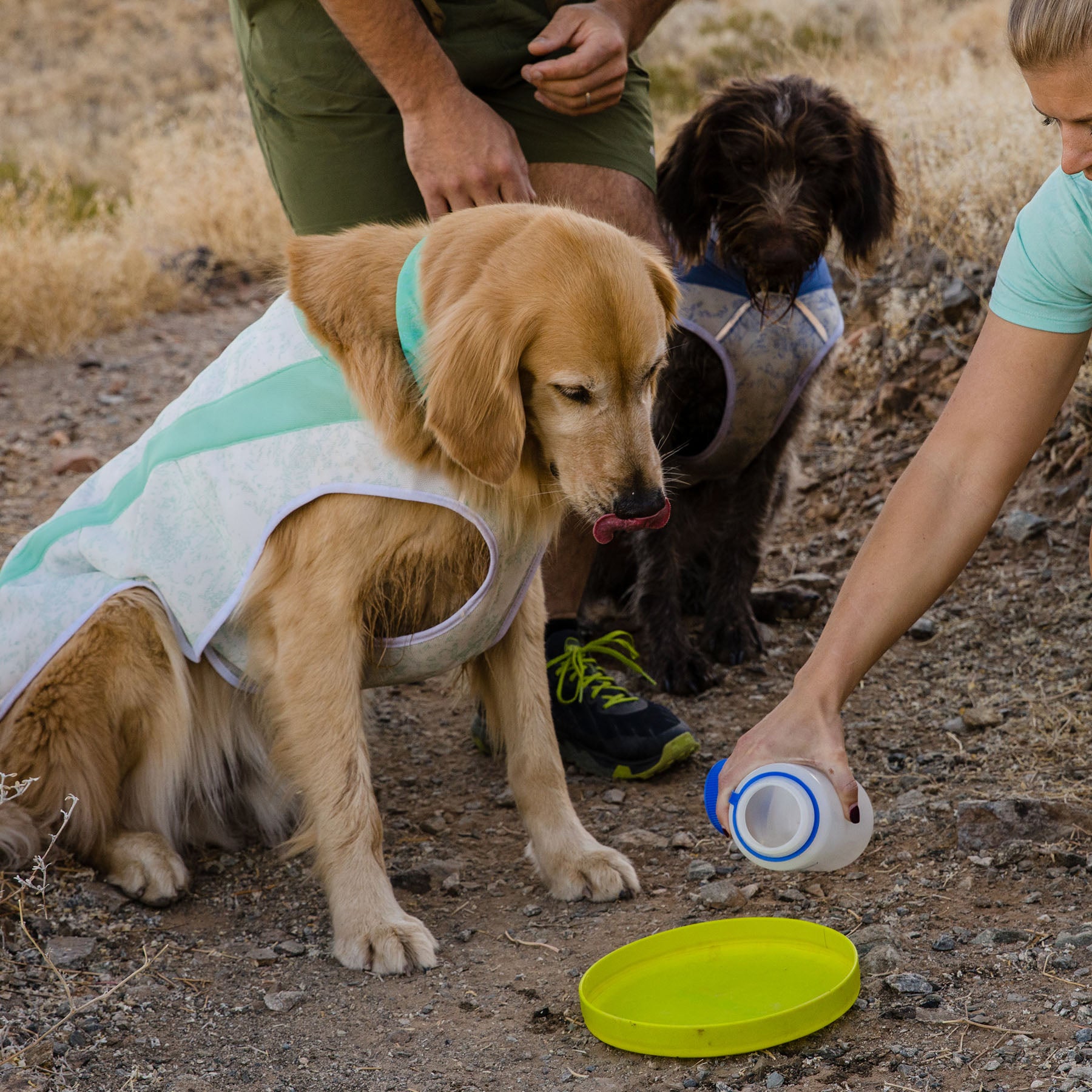 Swamp Cooler Dog Cooling Vest