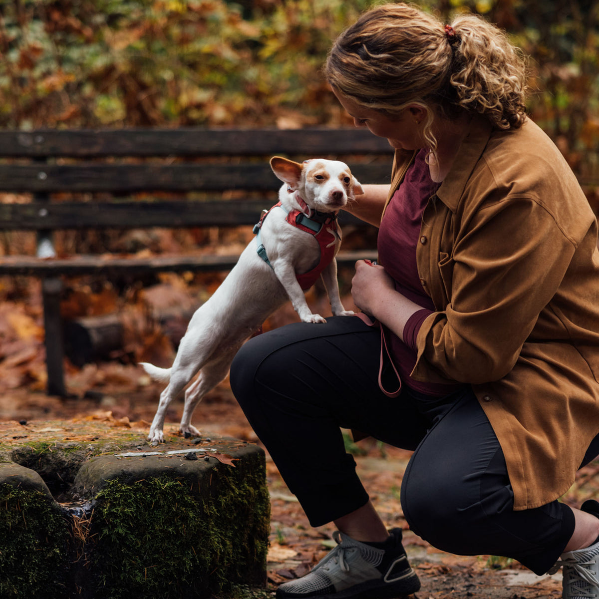 Ruffwear Hi & Light Lightweight Dog Harness 