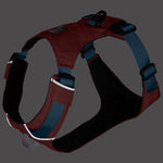 Ruffwear Hi & Light Lightweight Dog Harness 