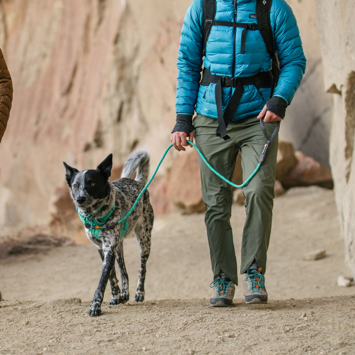 Ruffwear Knot-a-Leash Rope Dog Leash 