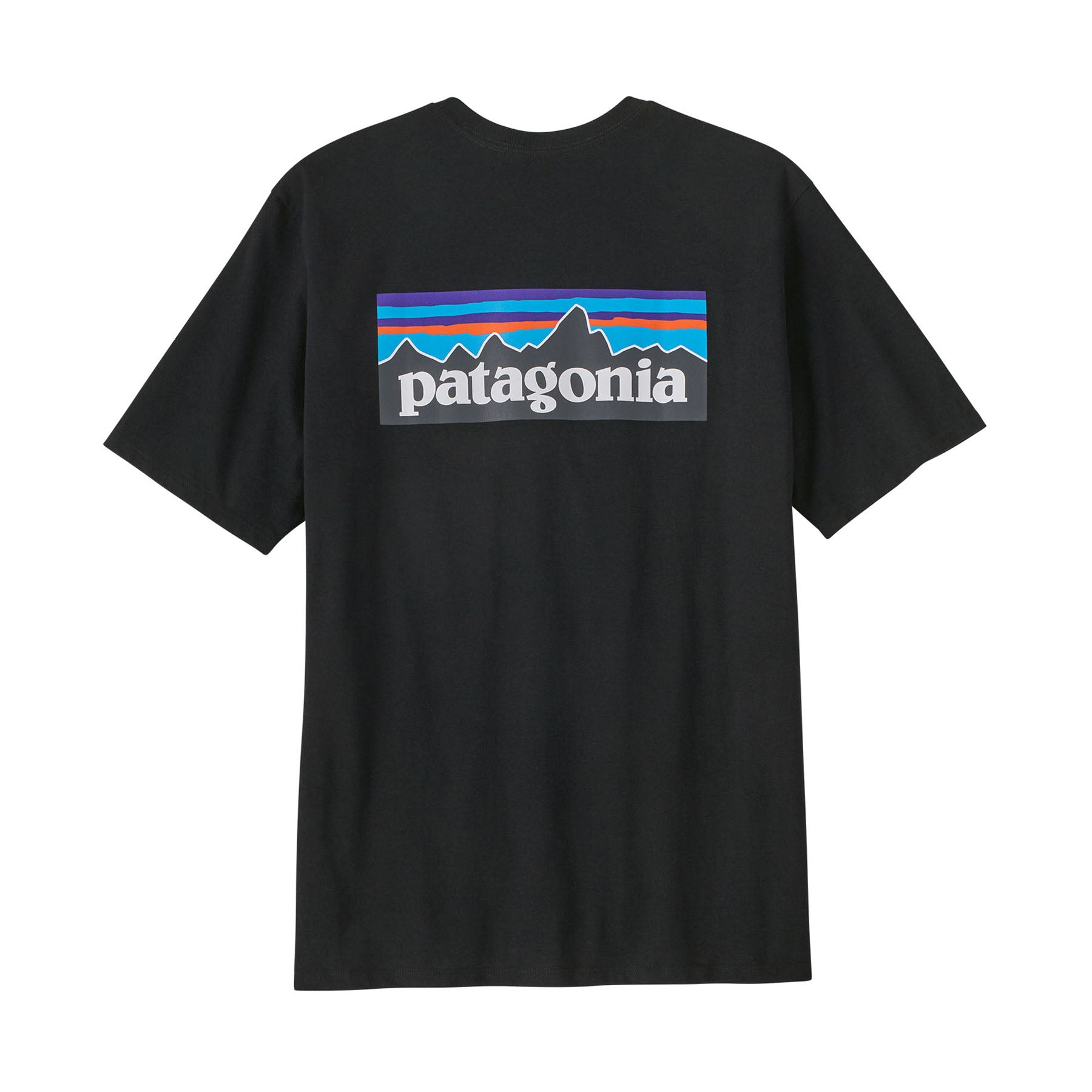 Patagonia text cheap logo tee